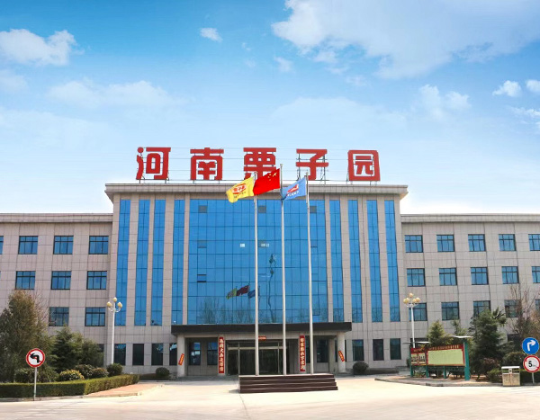 公司简介 公司简介