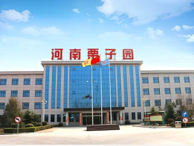 河南栗子园食品饮料有限公司广宣品招标中标公示